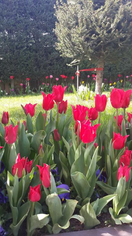 איסטמבול Pendik Marine Hotel מראה חיצוני תמונה