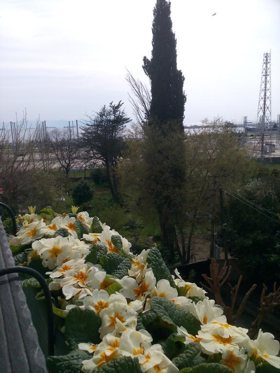 איסטמבול Pendik Marine Hotel מראה חיצוני תמונה